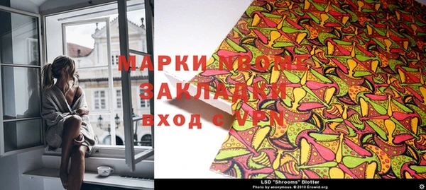 прущие грибы Богородск