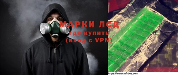 стаф Богданович