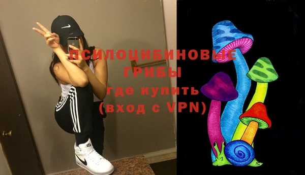 гашиш Богородицк