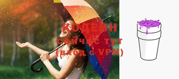 стаф Богданович