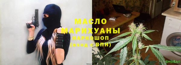 сатива Беломорск