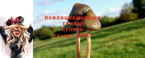 винт Белоозёрский