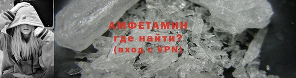 стаф Богданович
