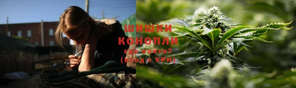 прущие грибы Богородск