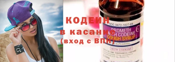 стаф Богданович