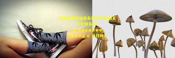 прущие грибы Богородск
