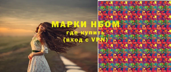 стаф Богданович