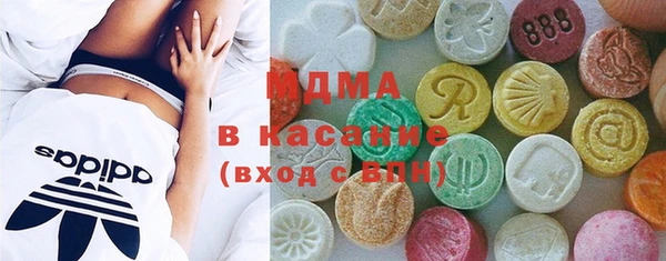 стаф Богданович