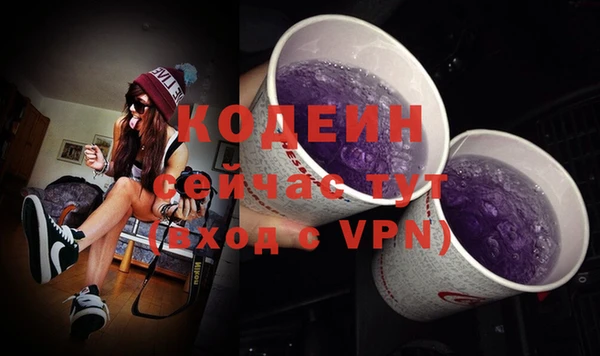 стаф Богданович