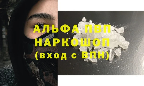 стаф Богданович