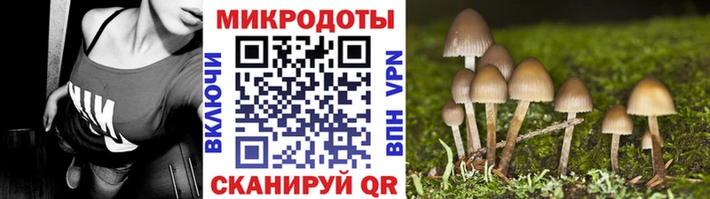 Псилоцибиновые грибы Cubensis как найти закладки Можга