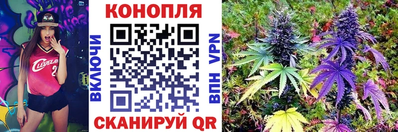 Марихуана OG Kush Можга